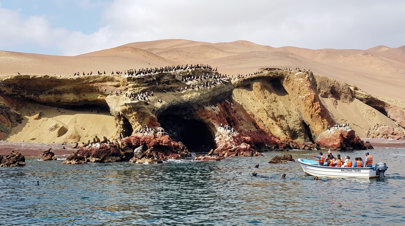 Paracas and the Ballestas Islands
