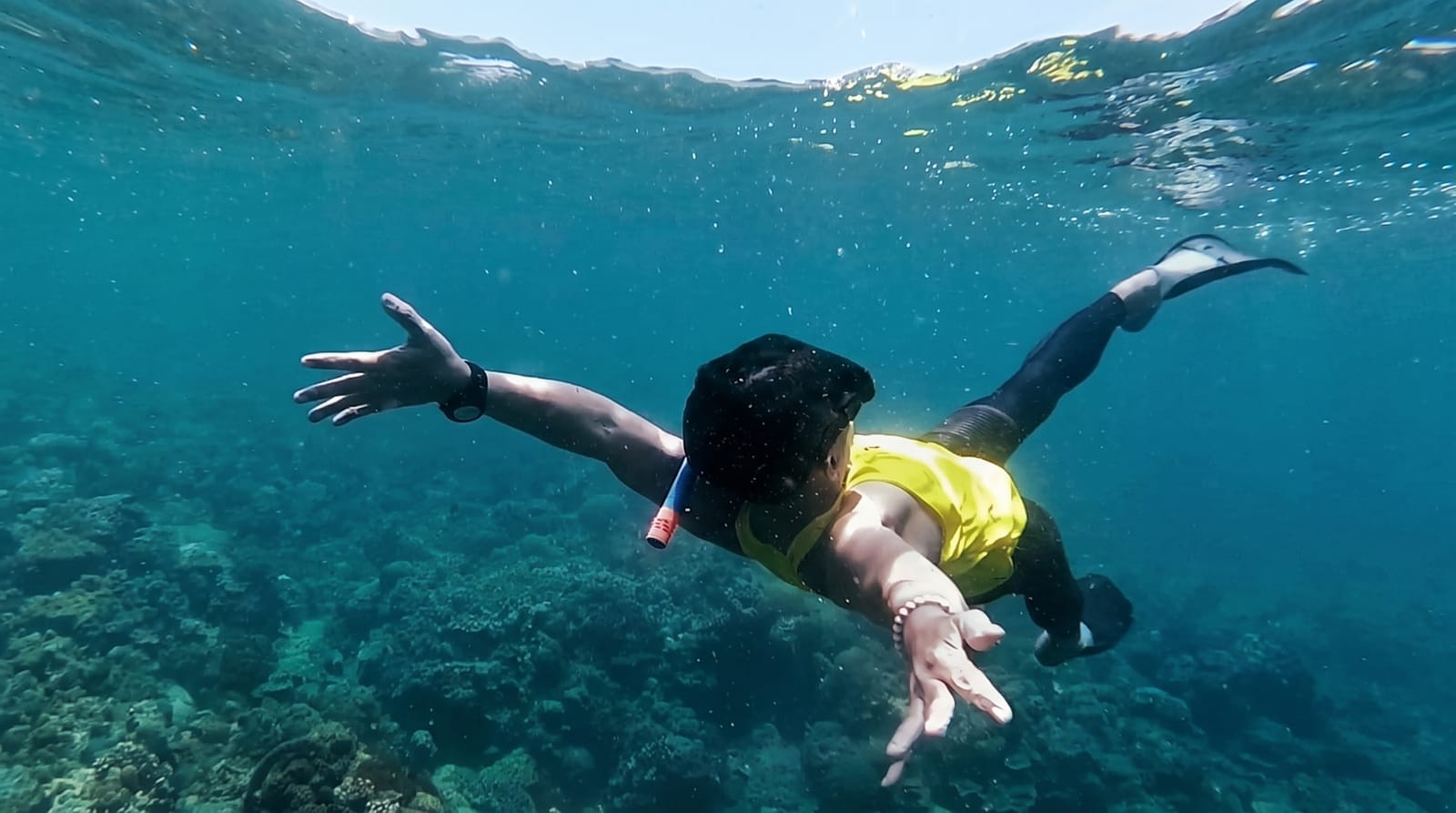 Anilao Dive Sites
