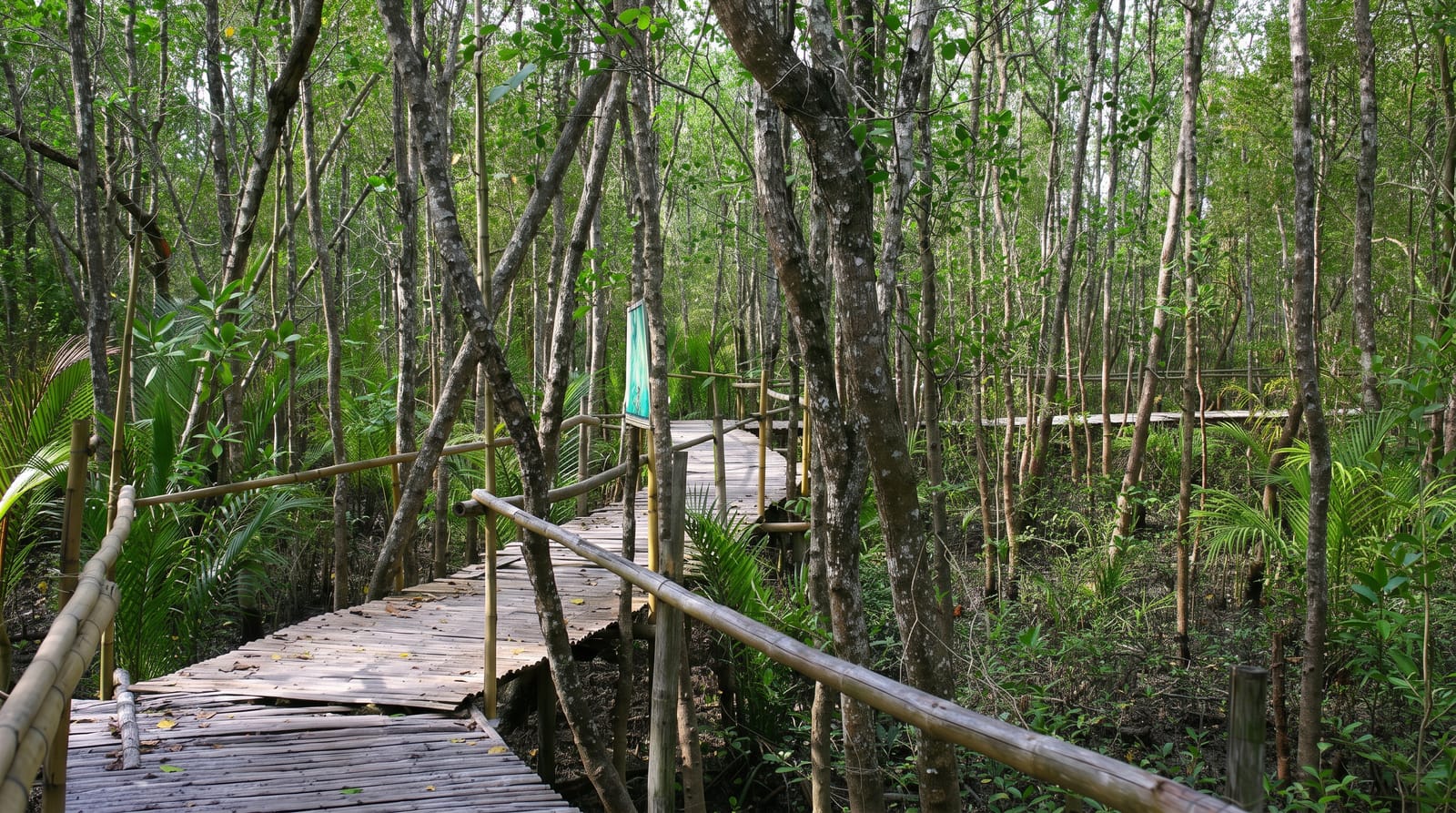 Bakhawan Eco-Park