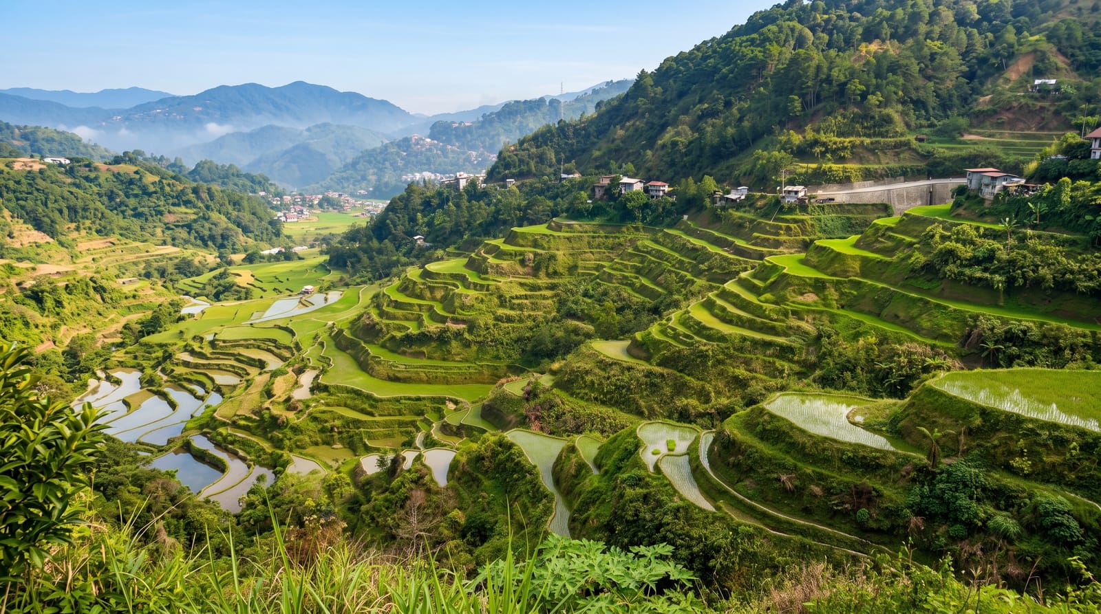 The Banaue Rice Terraces