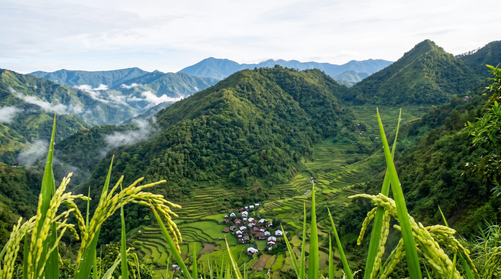 Bangaan Rice Terraces