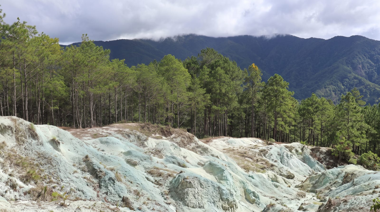 Blue Soil Hills