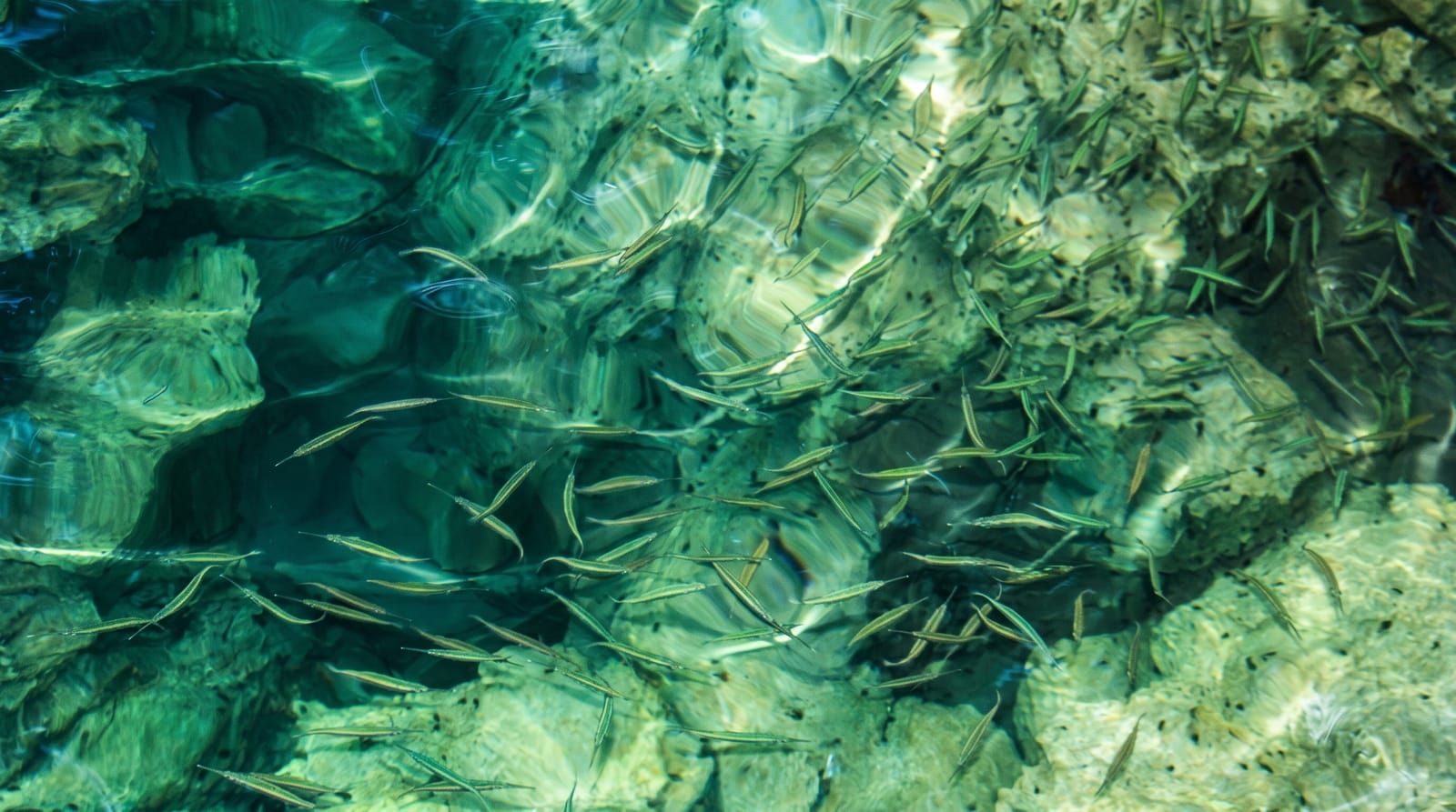 Kayangan Lake
