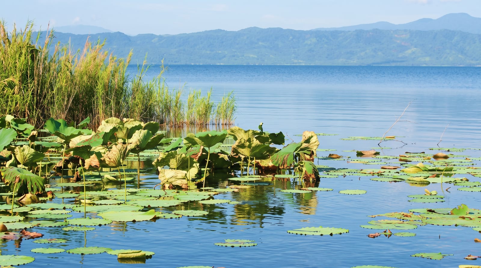 Lake Mainit