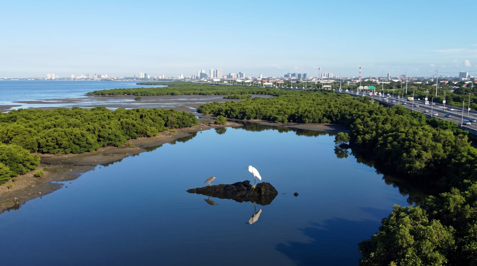 Las Pinas-Paranaque Wetland Park
