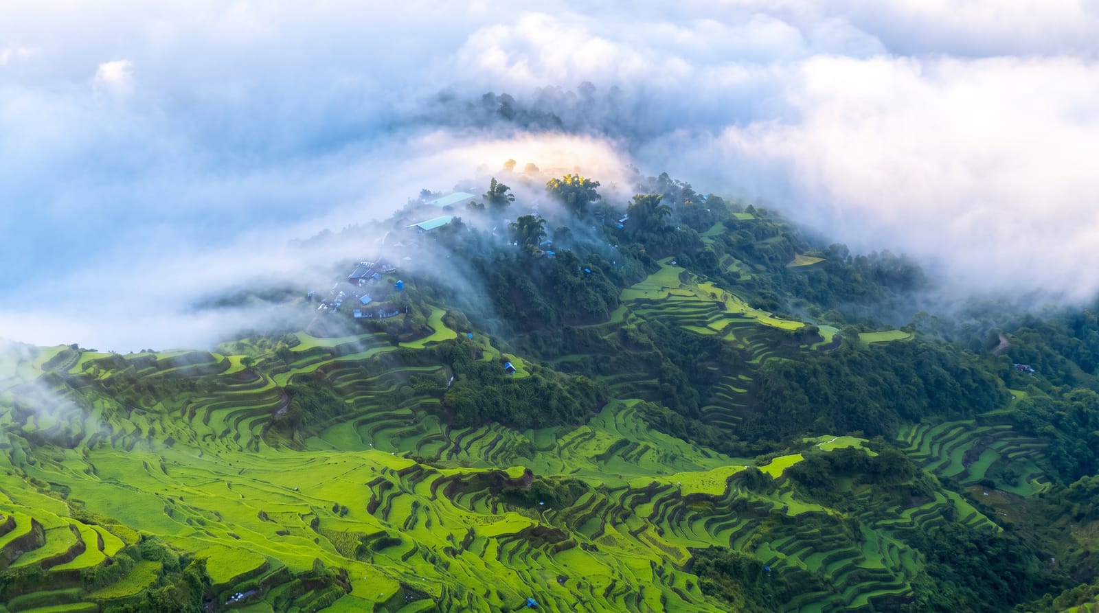Maligcong Rice Terraces