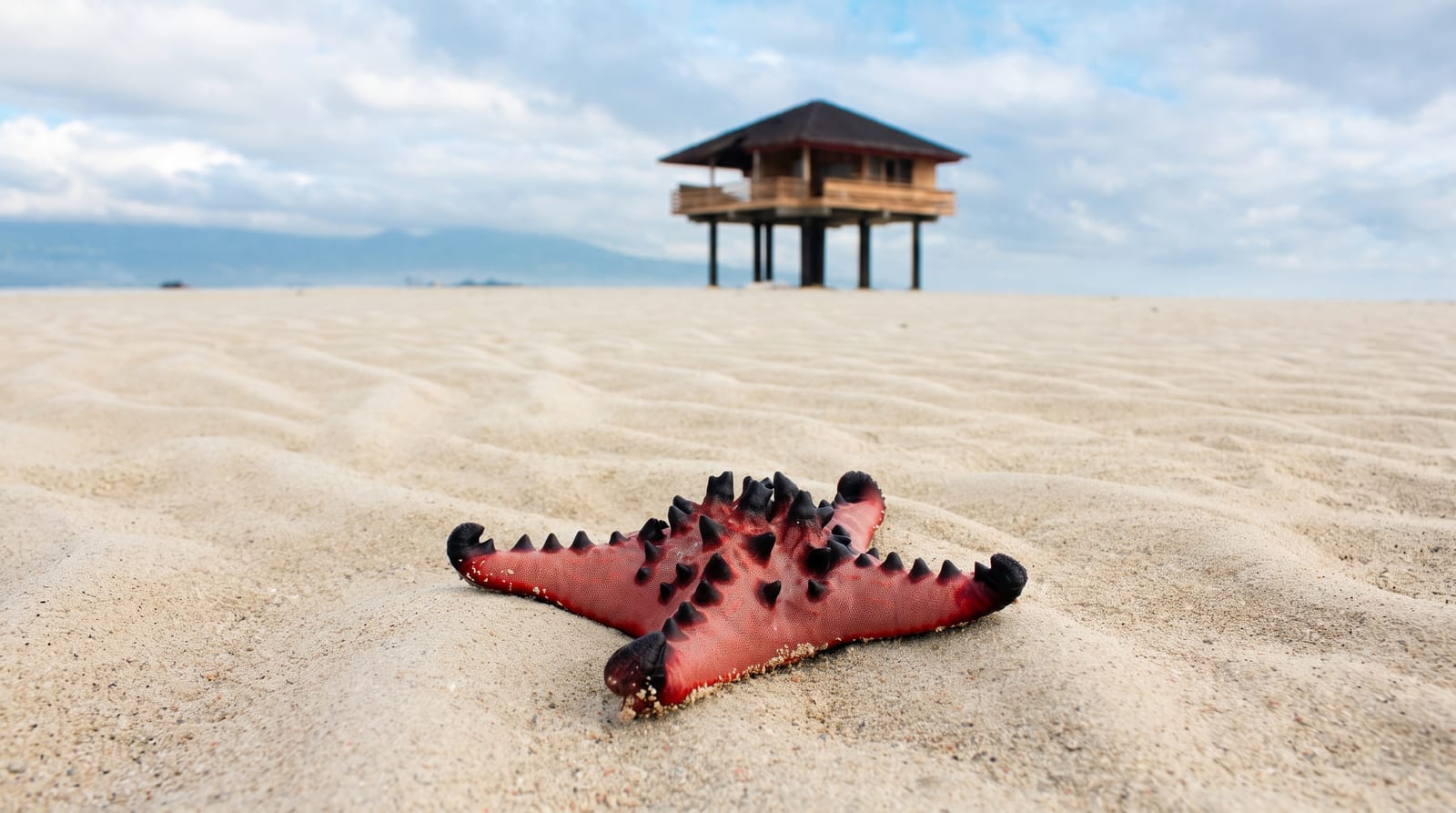 Manjuyod Sandbar