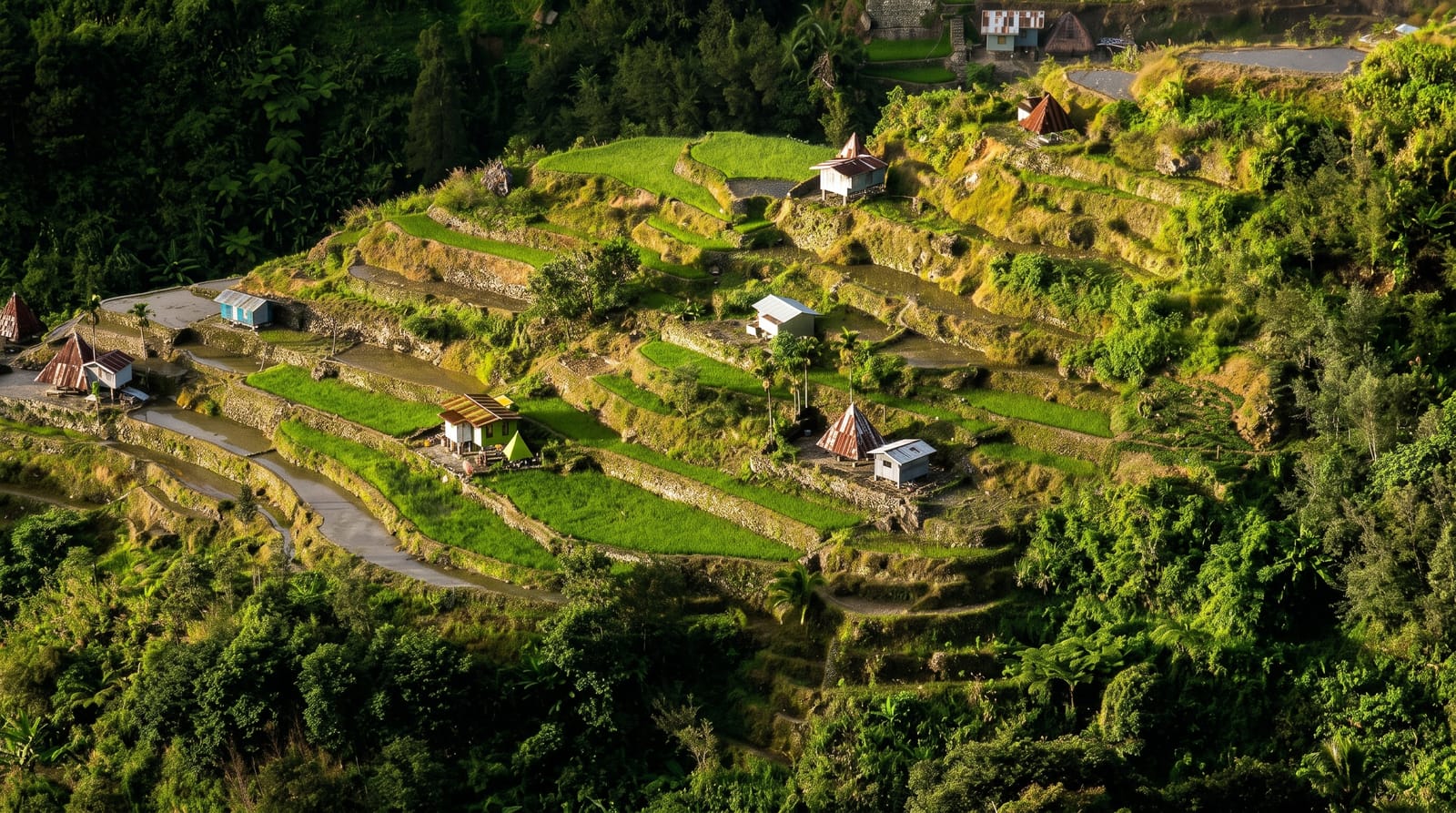 Mayoyao Rice Terraces