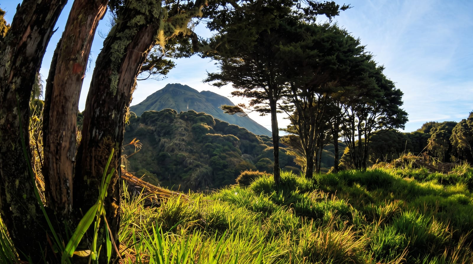 Mount Apo Natural Park