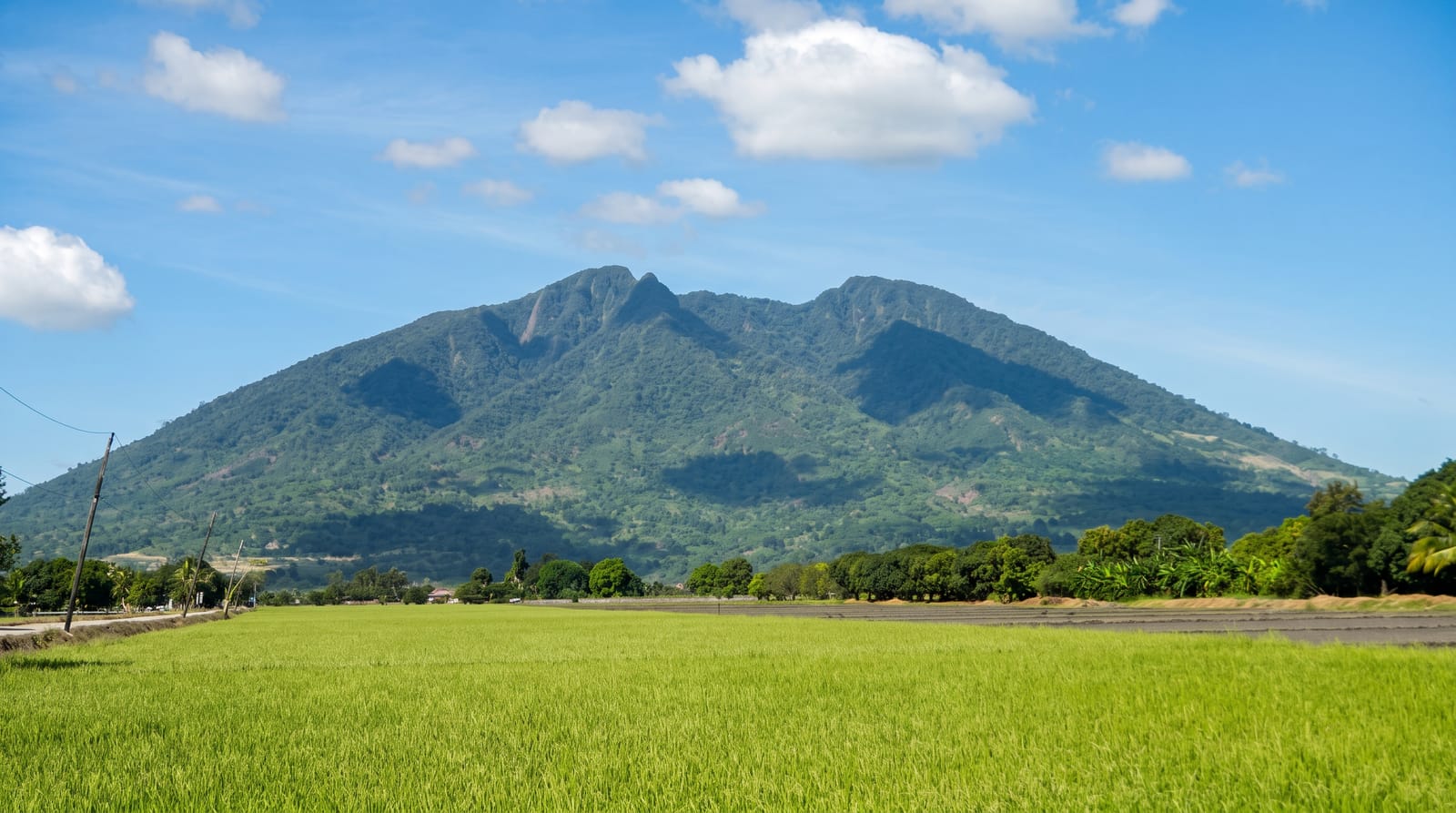 Mount Arayat