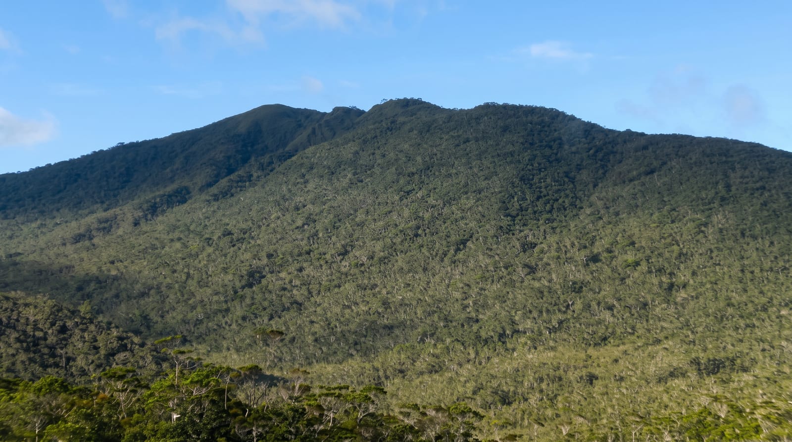 Mount Hamiguitan Range Wildlife Sanctuary