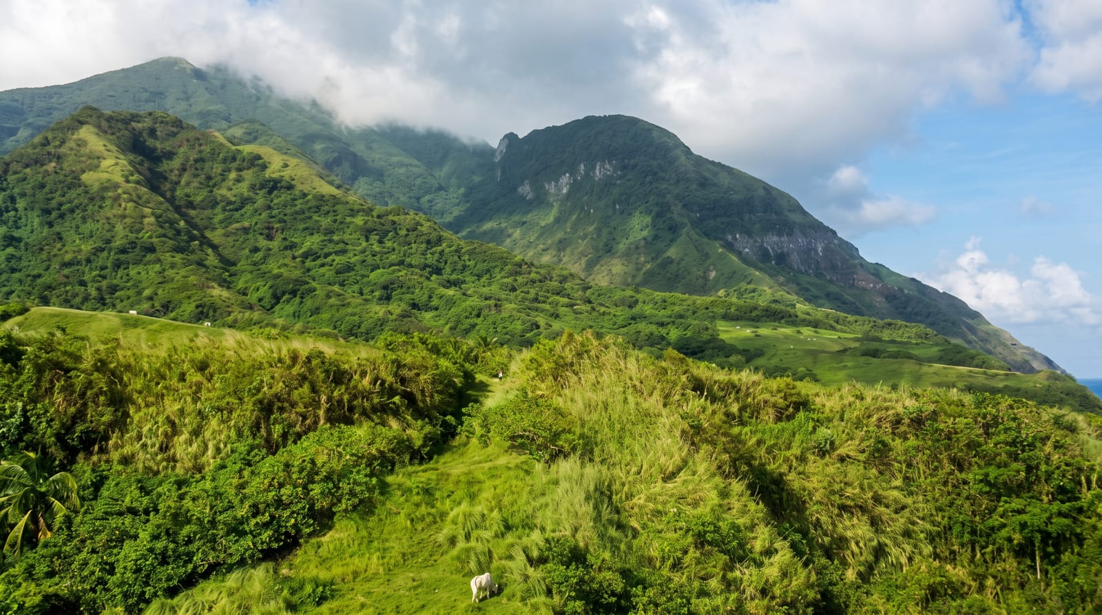Mount Iraya