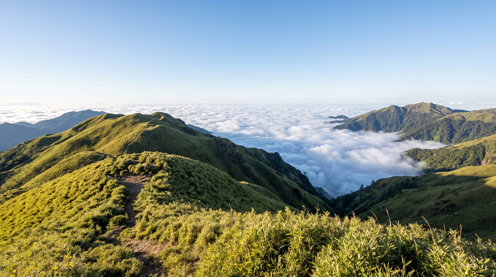 Mount Pulag National Park