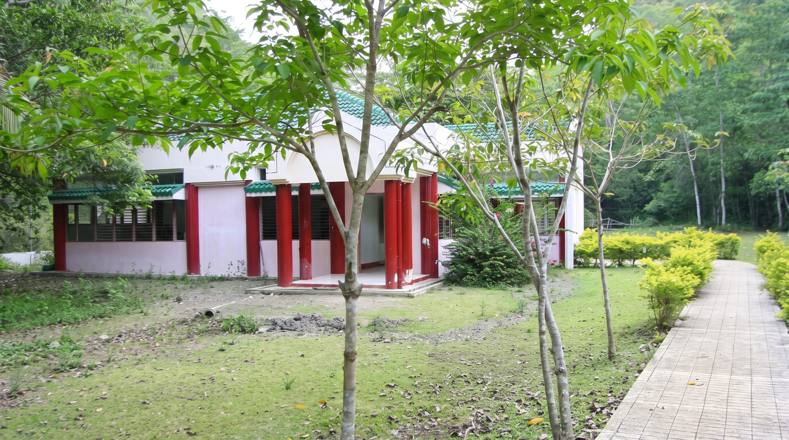 The Philippine Tarsier Sanctuary