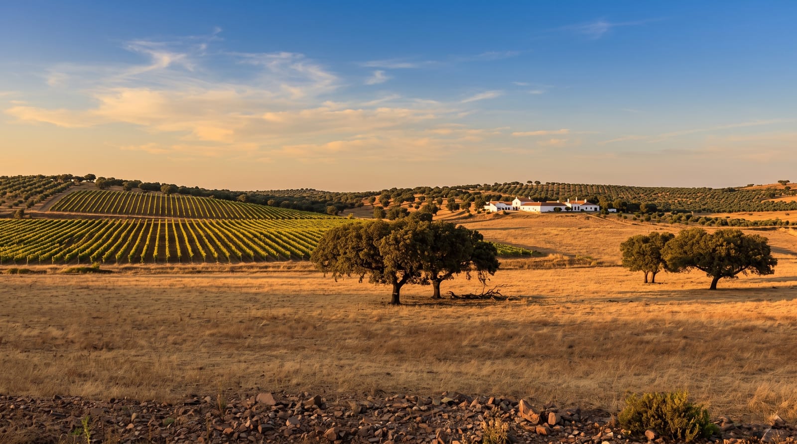 The Alentejo Wine Country