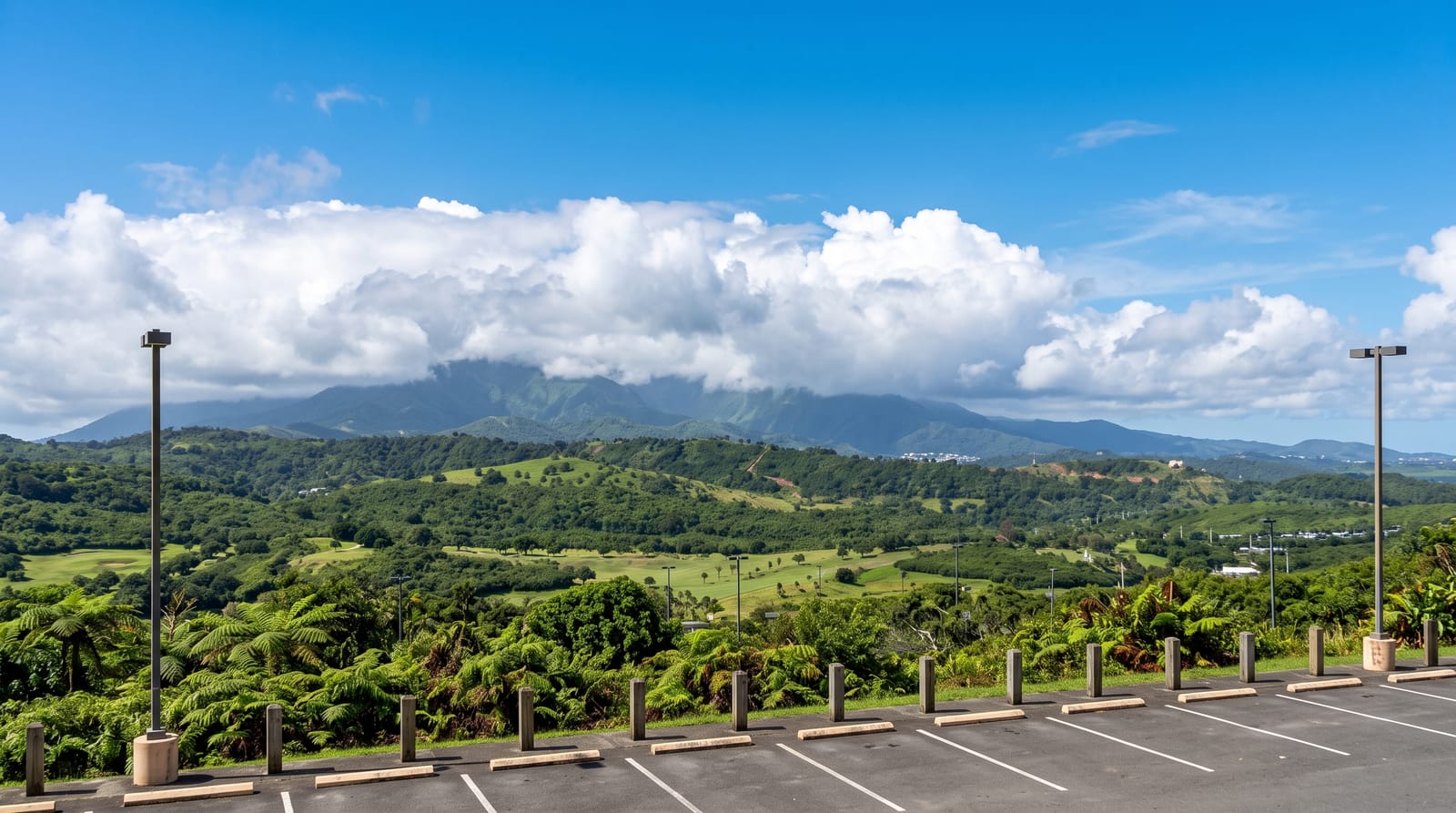 El Yunque National Forest