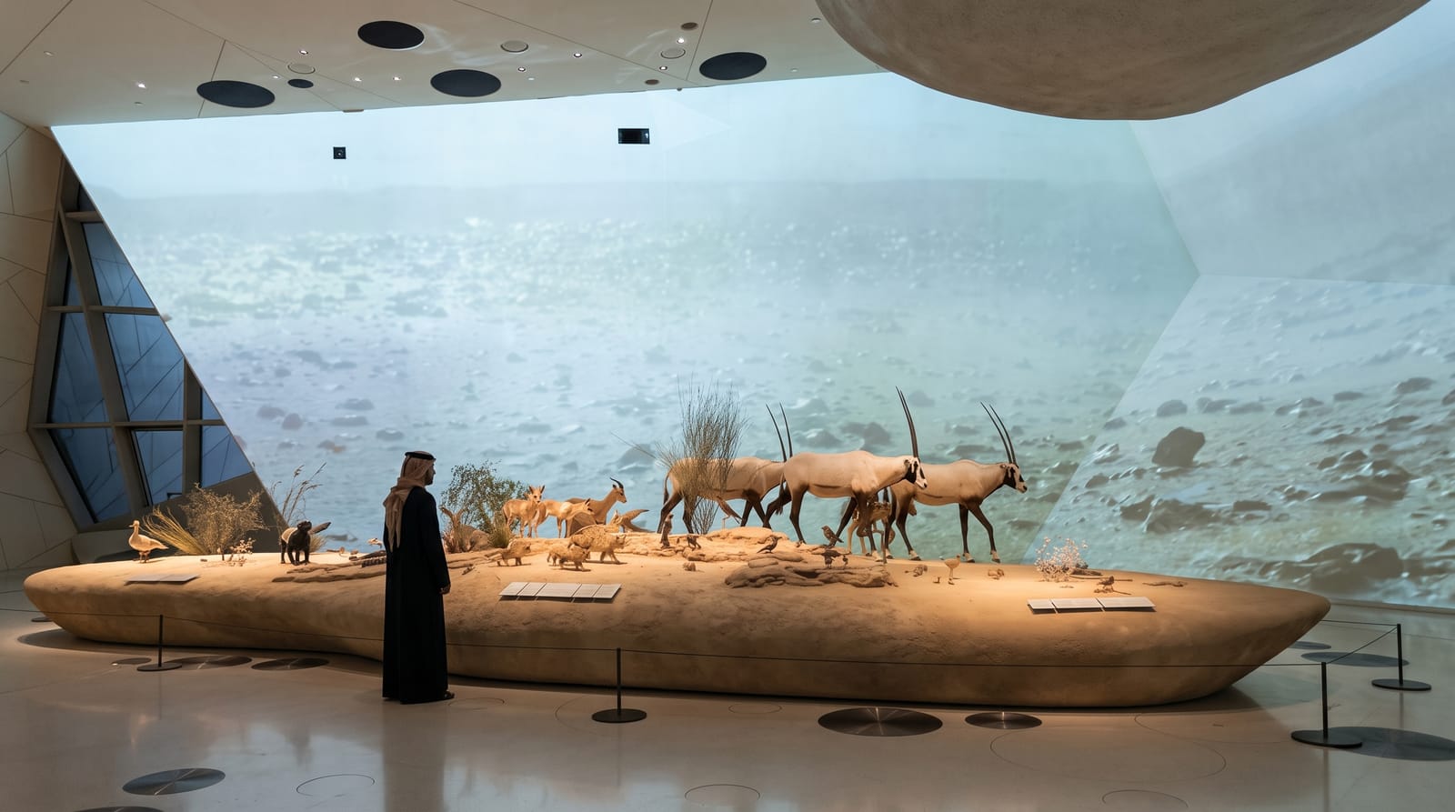 National Museum of Qatar