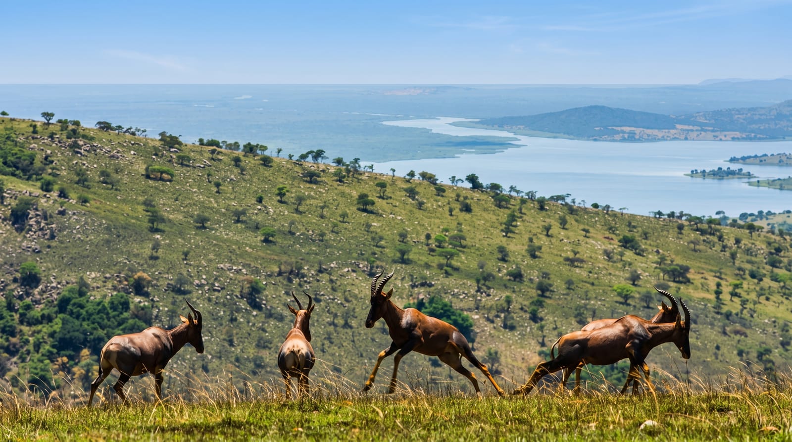 Akagera National Park