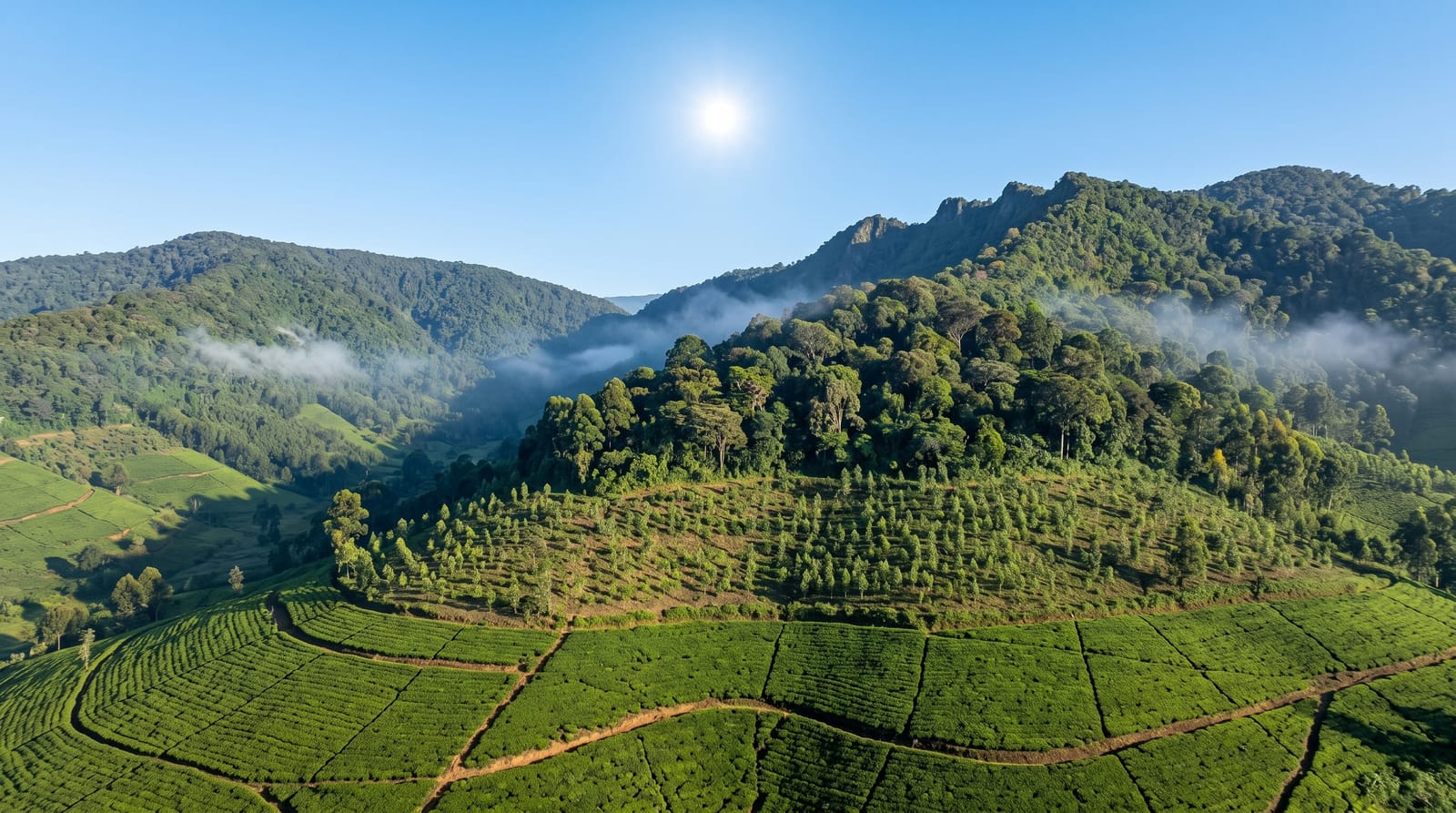 Gishwati-Mukura National Park