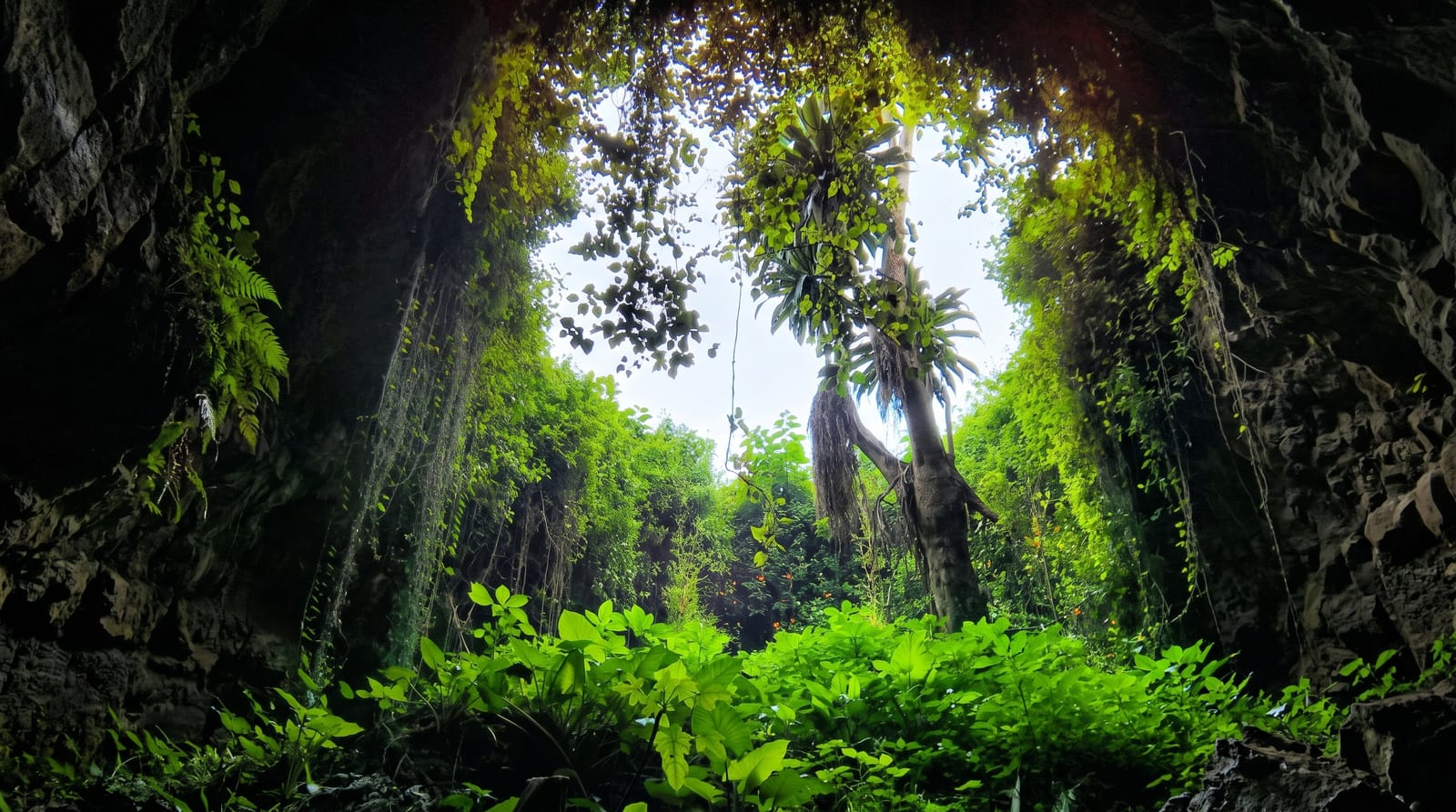 The Musanze Caves