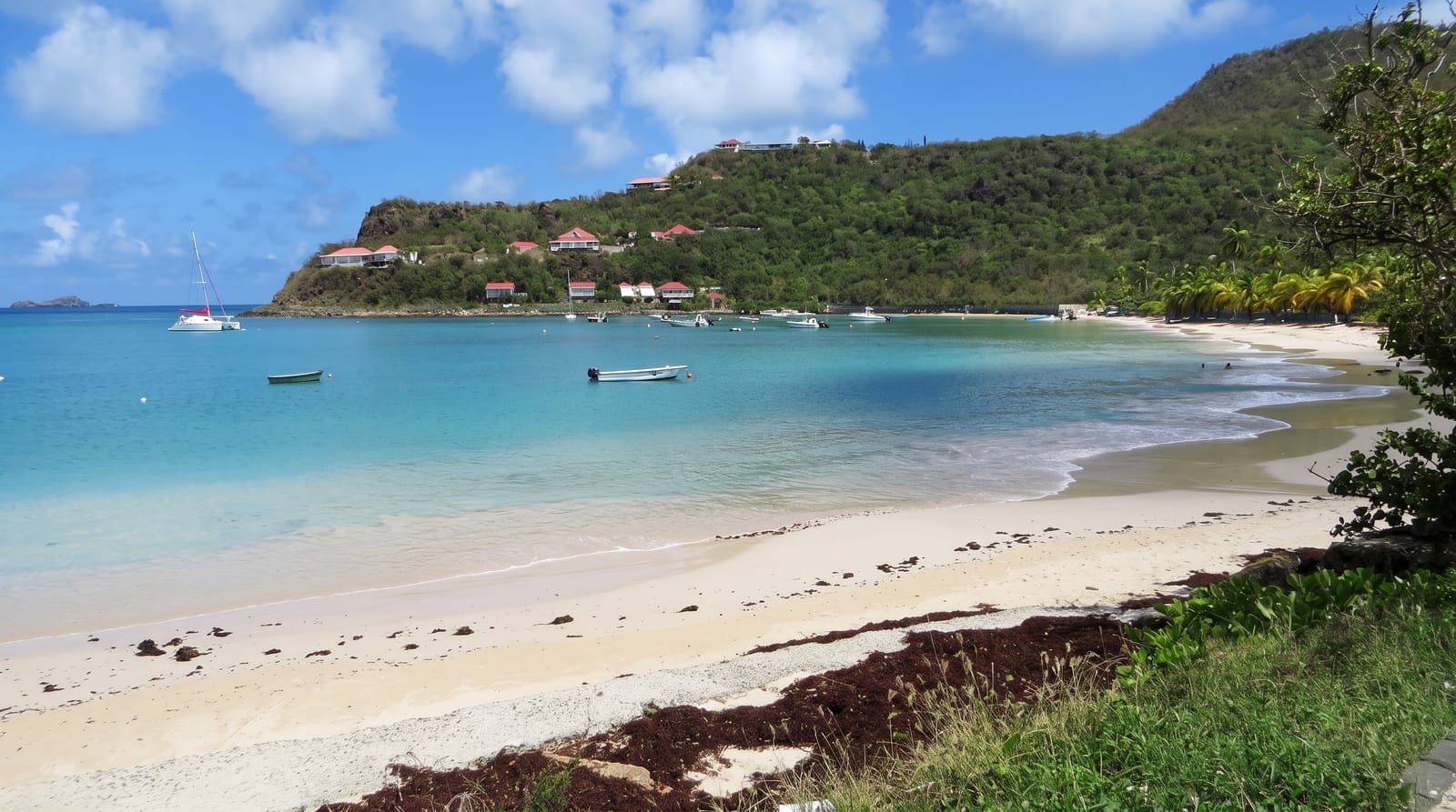 The Coves and Coast of St Barths