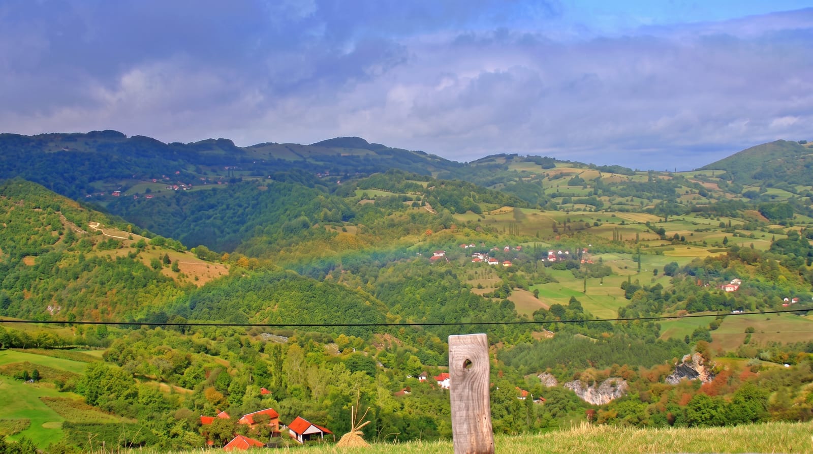 Tara National Park and the Drina
