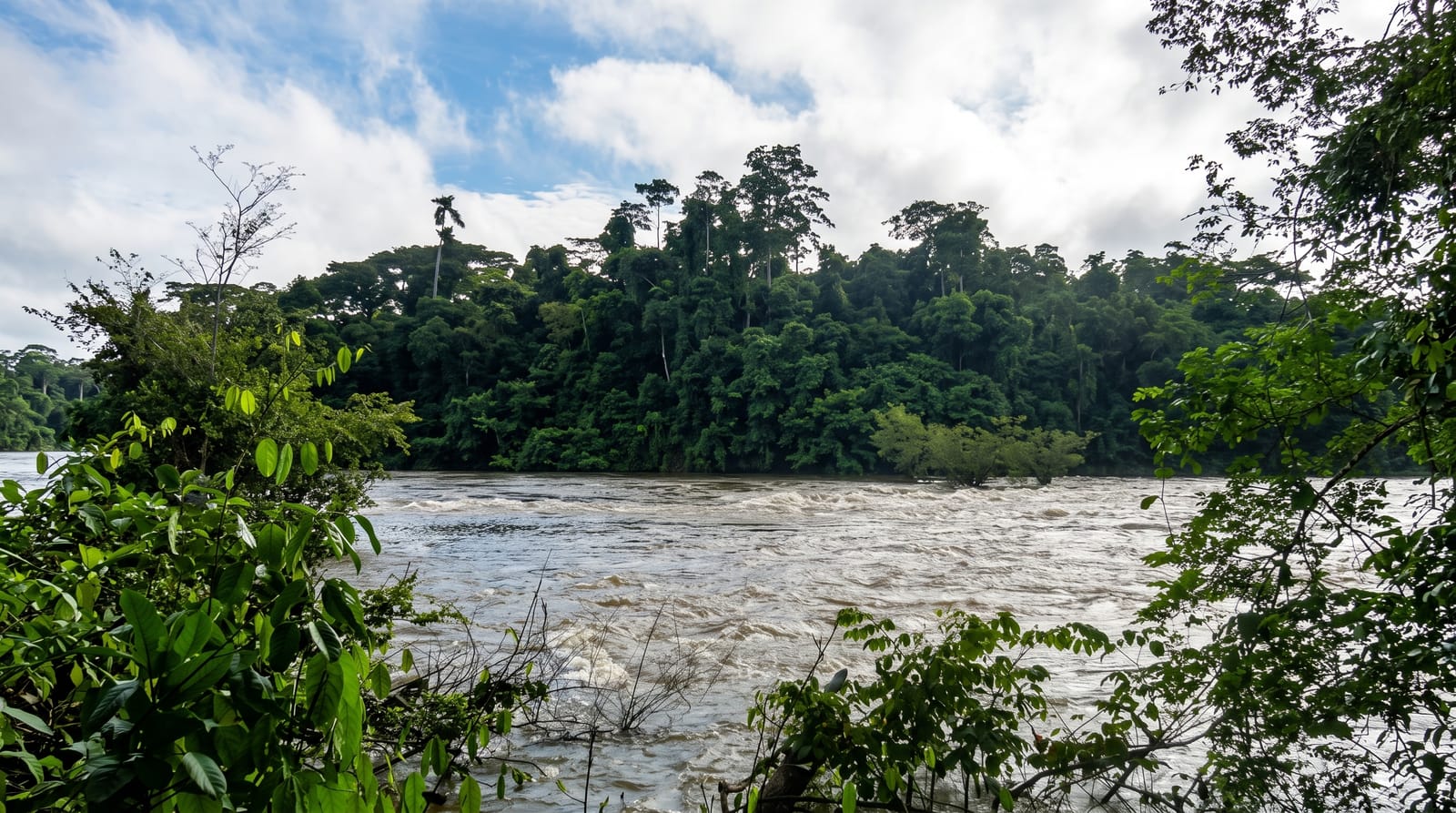 Tiwai Island