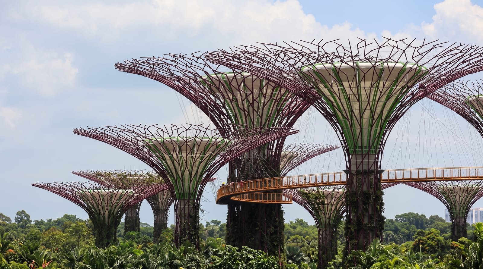 Gardens by the Bay