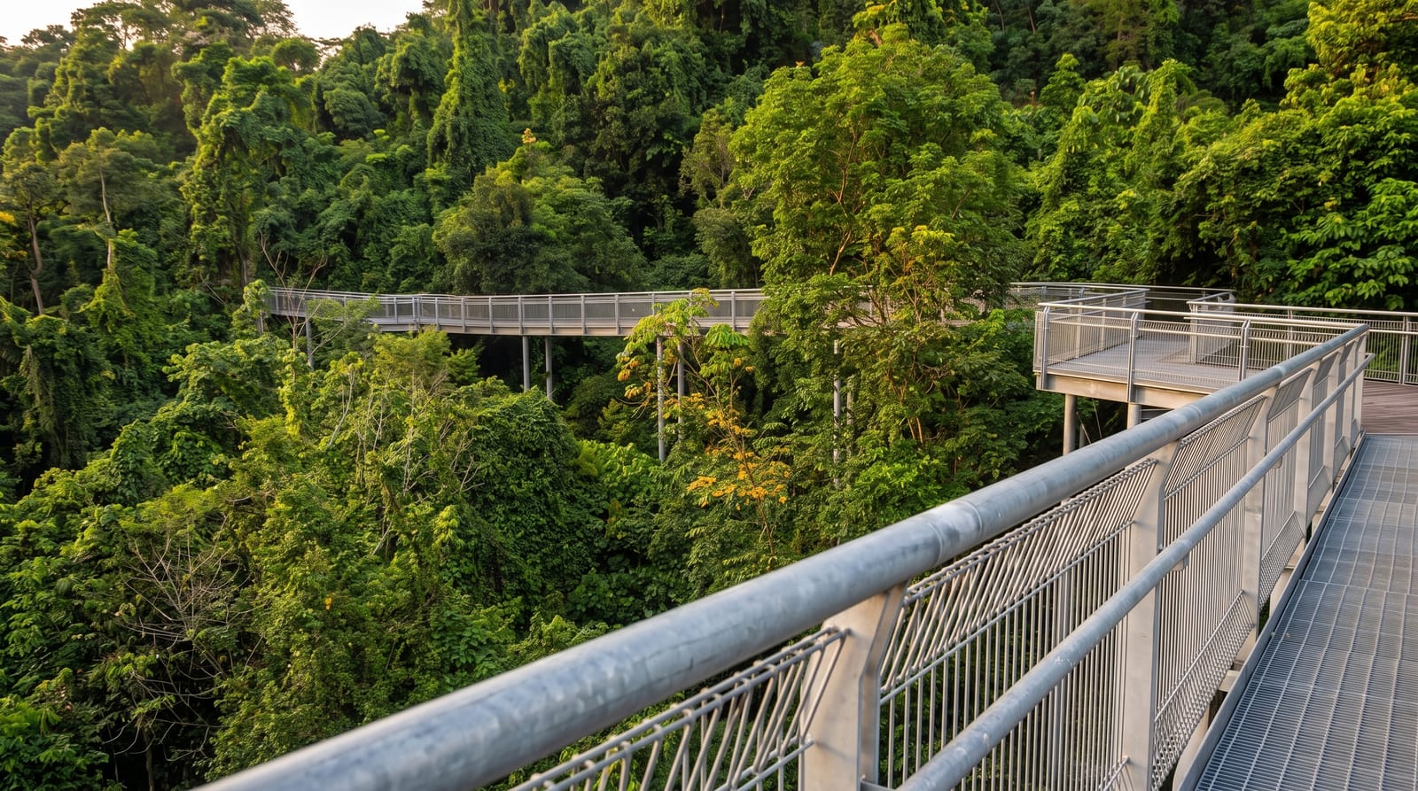 The Southern Ridges