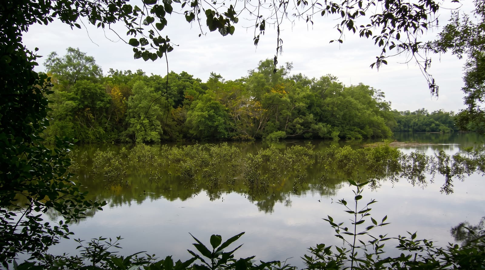 Sungei Buloh Wetland Reserve