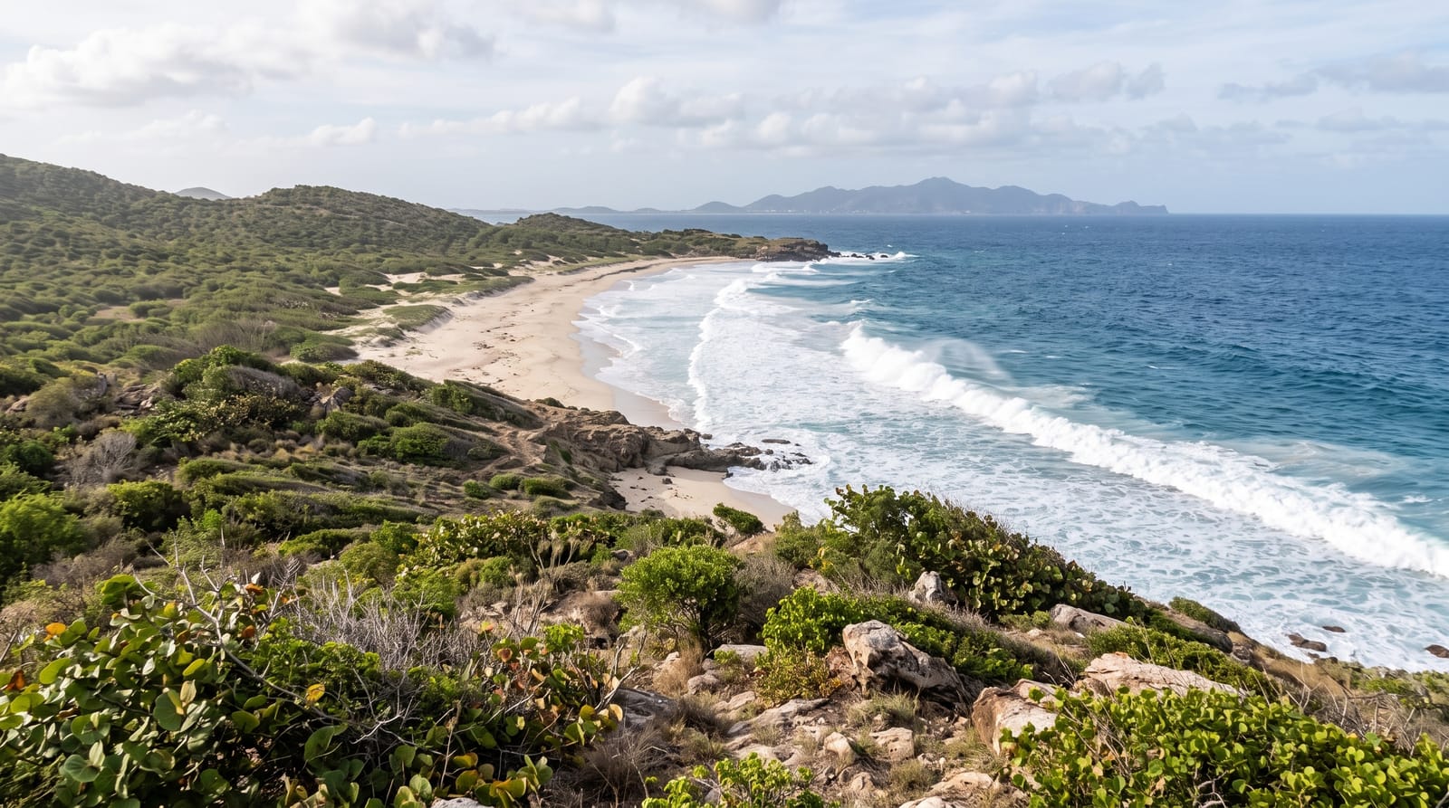 Guana Bay