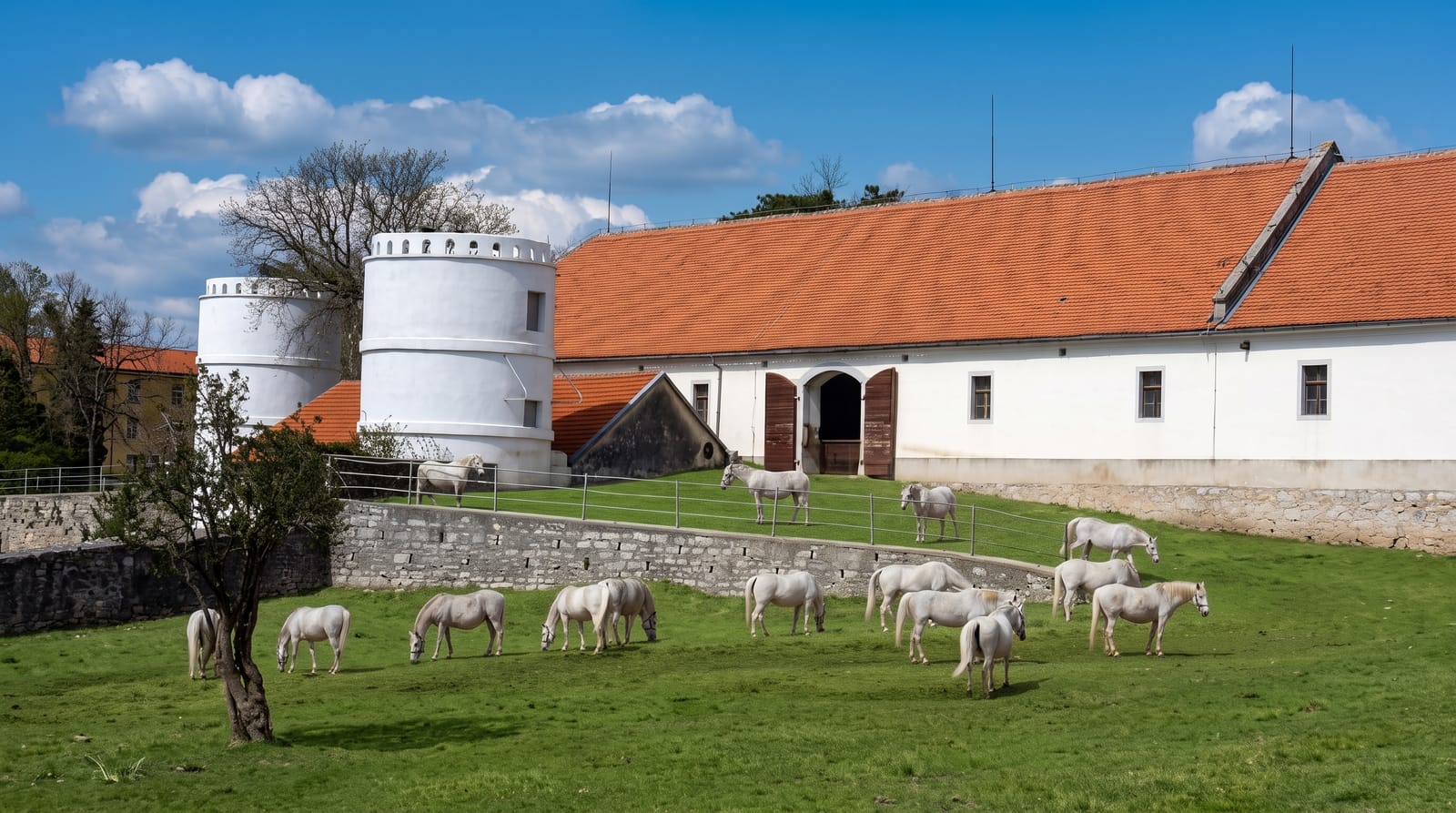Lipica Stud Farm