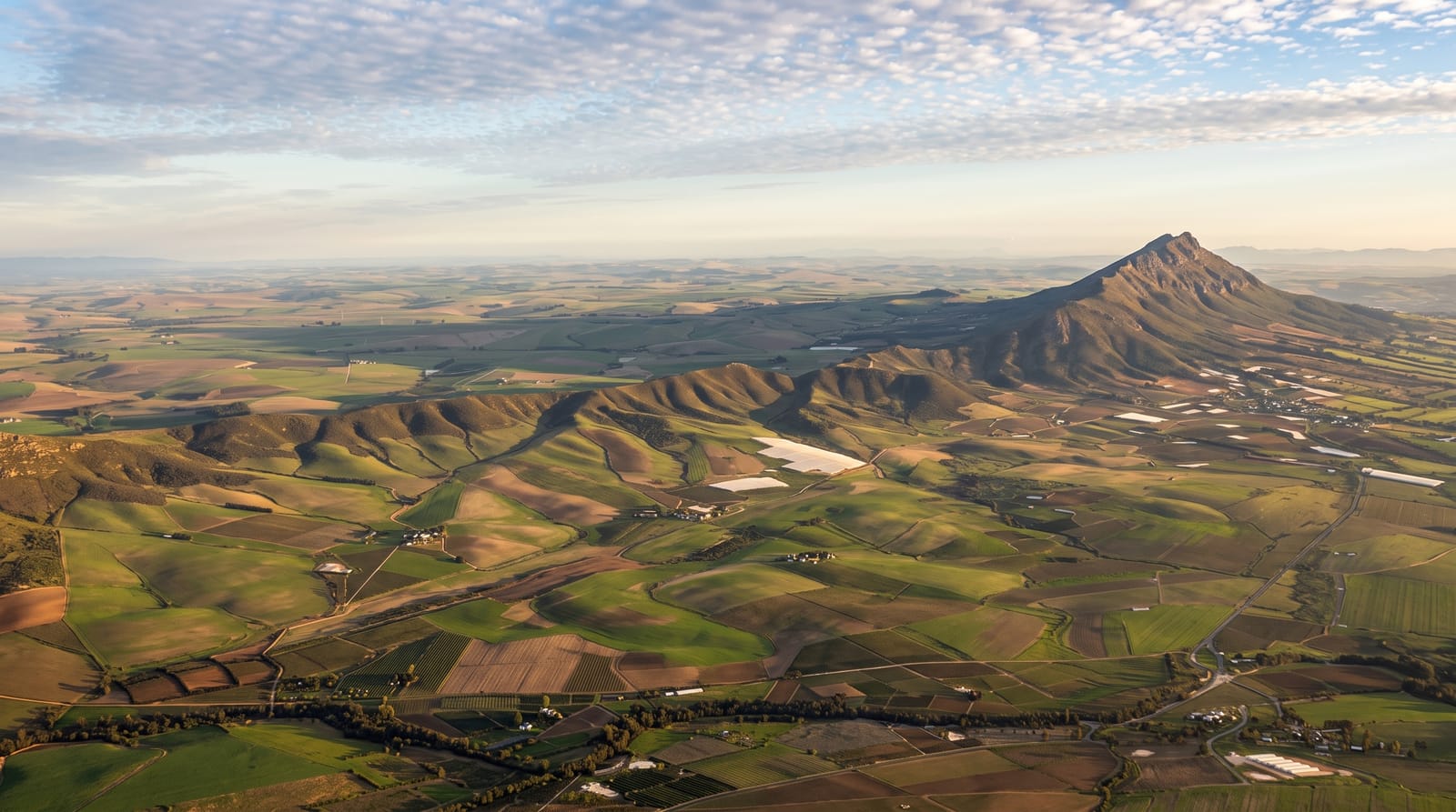 The Cape Winelands