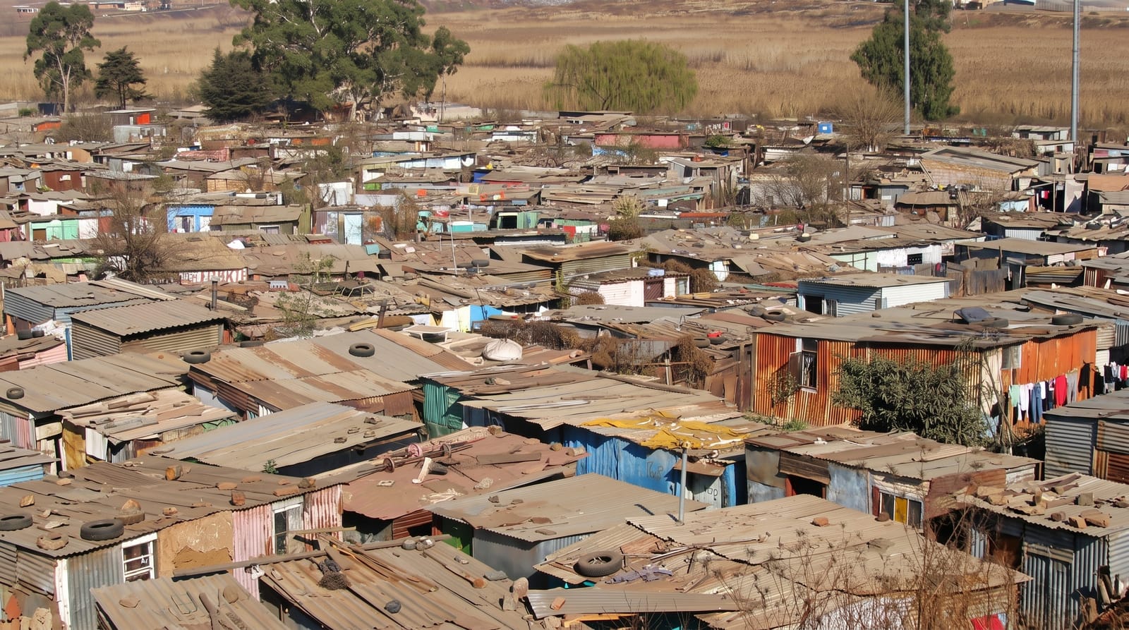 Soweto and the Apartheid Museum