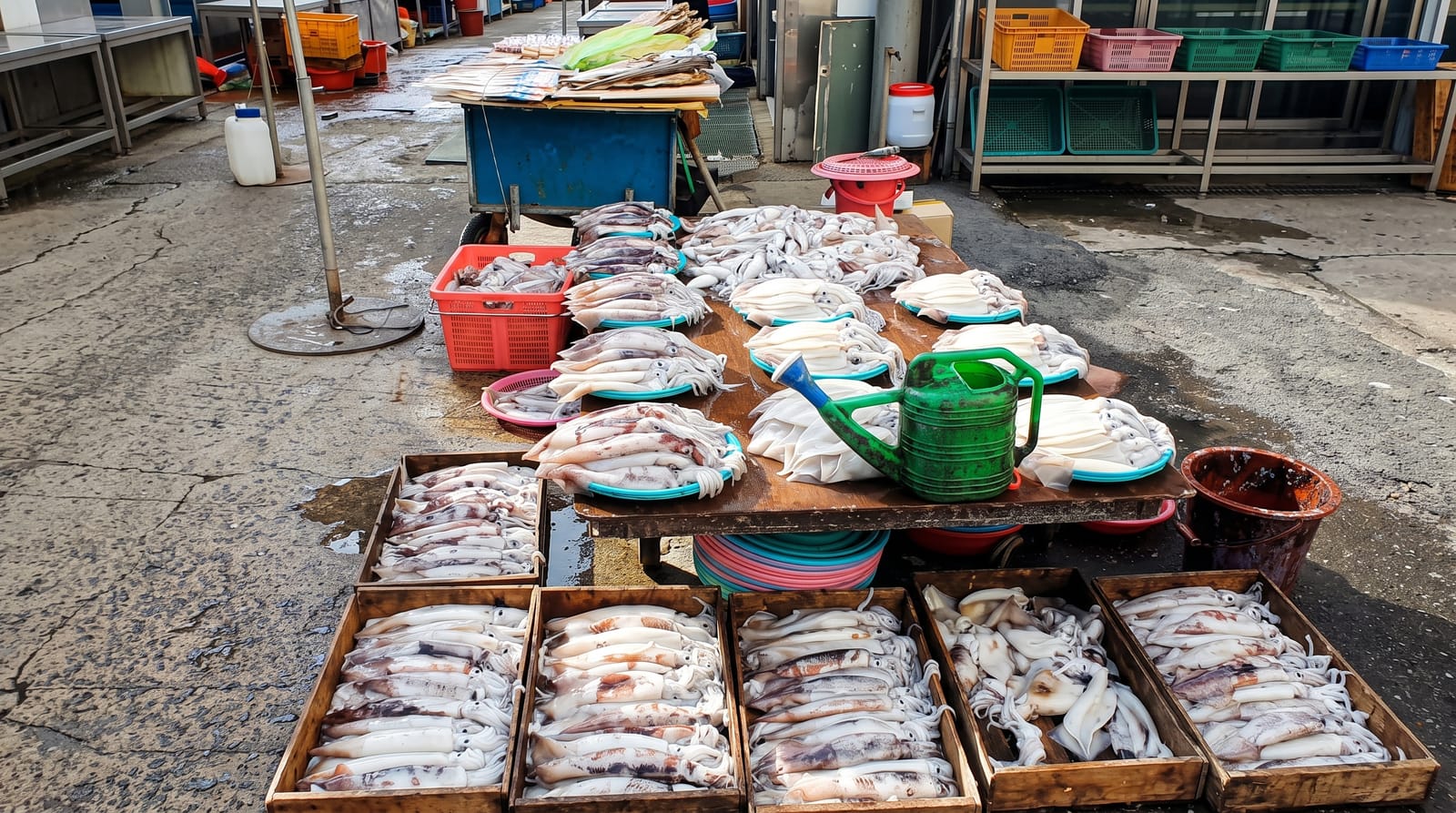 Jagalchi Fish Market