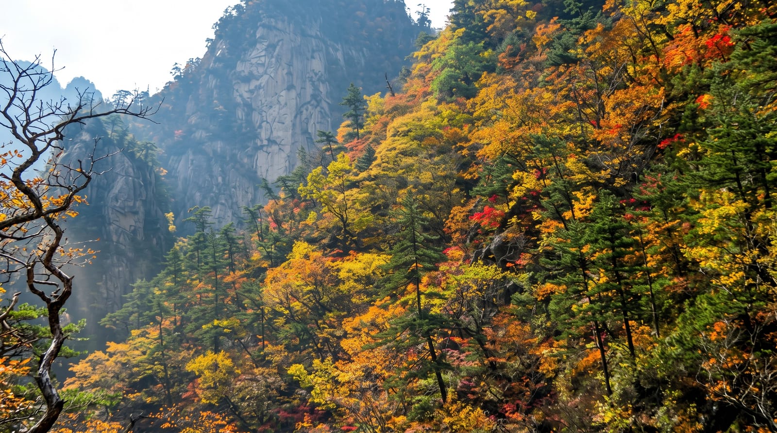 Seoraksan National Park