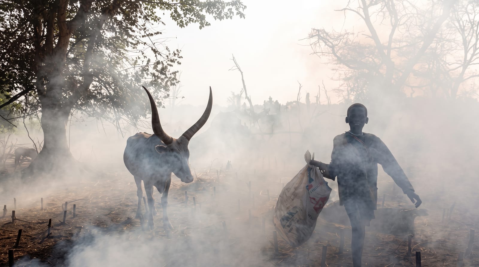 The Mundari Cattle Camps