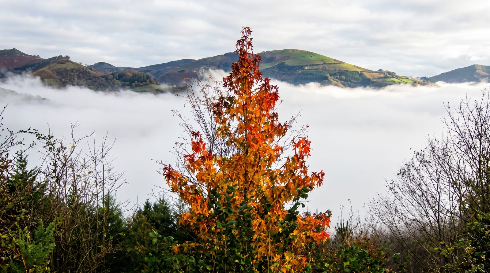 Baztan Valley