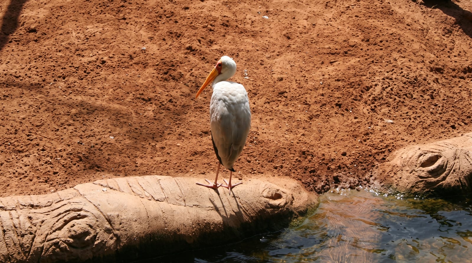Bioparc Fuengirola