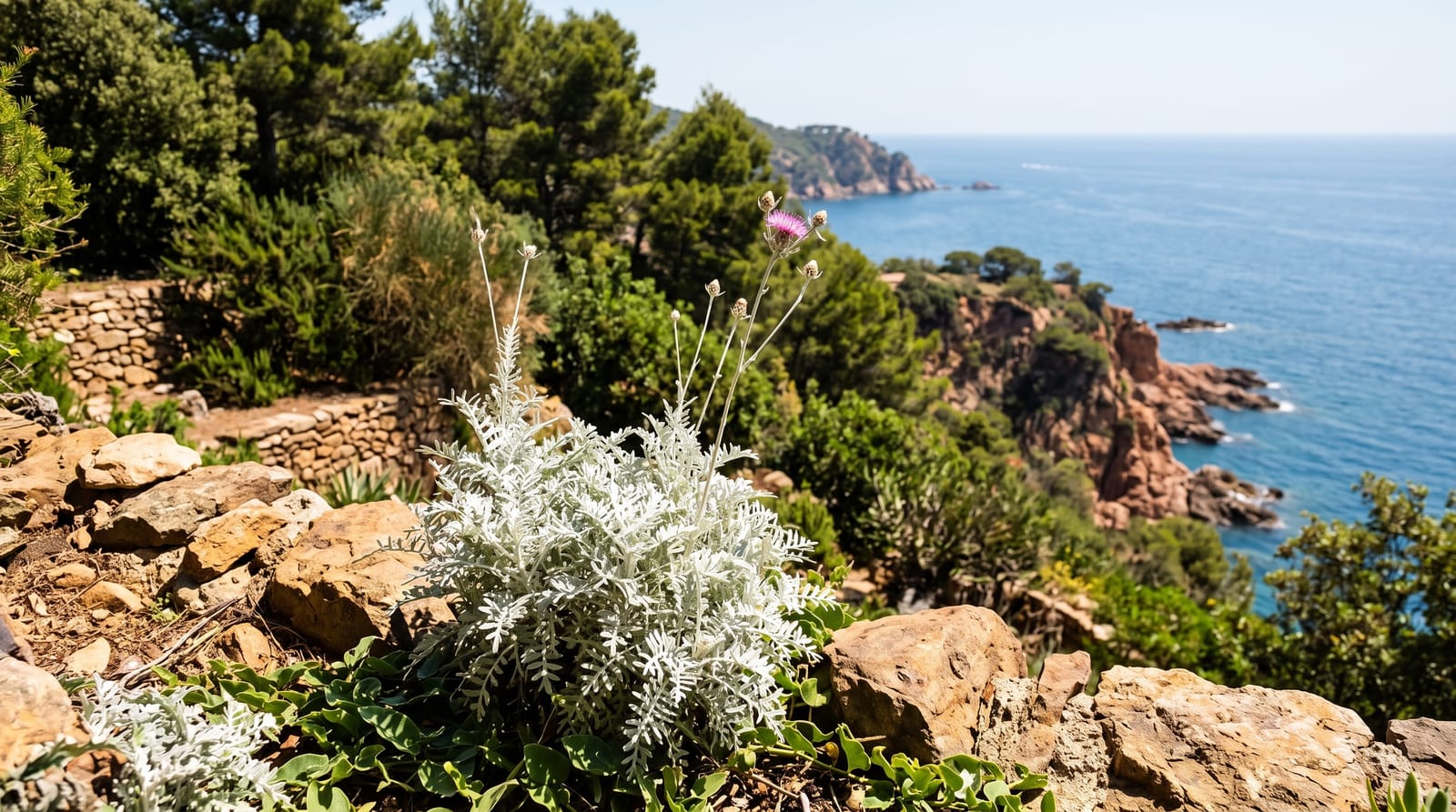 Cap Roig Gardens