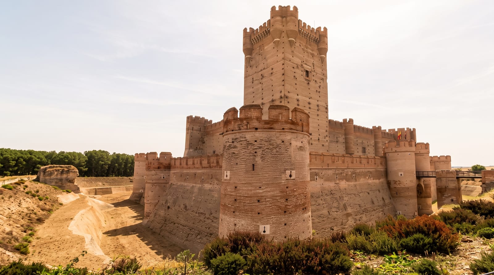 Castillo de la Mota