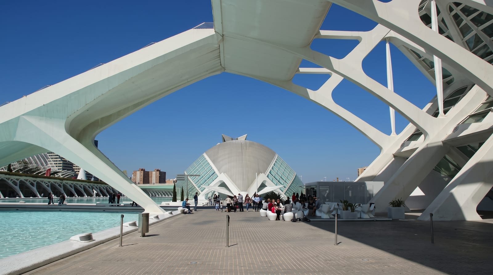 City of Arts and Sciences