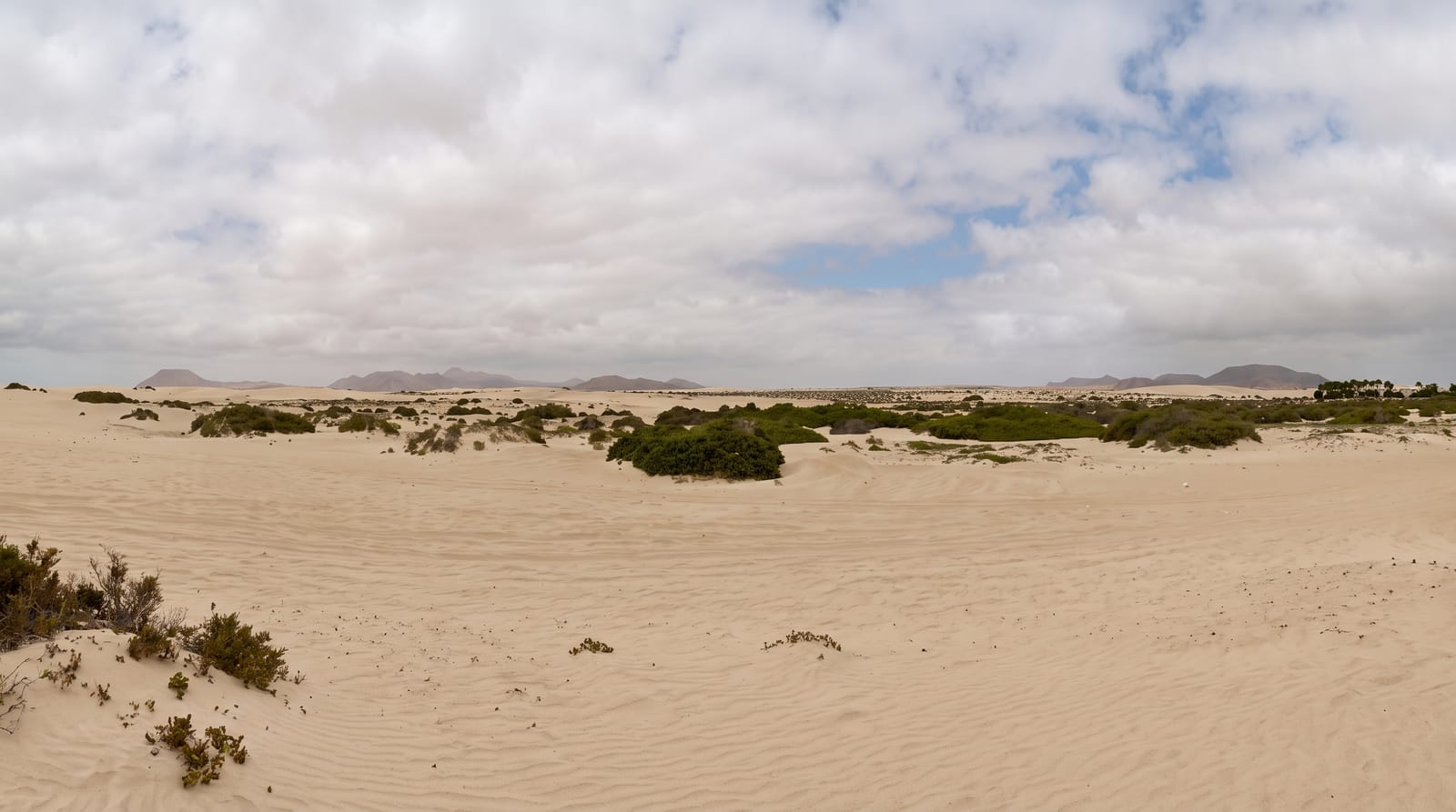 Corralejo Dunes