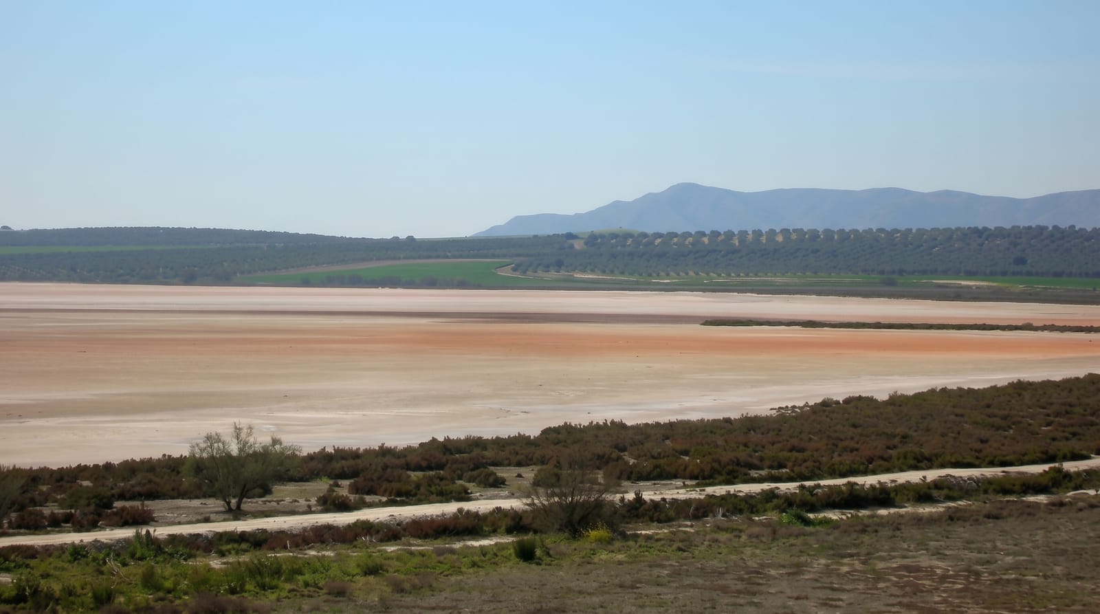 Fuente de Piedra Lagoon