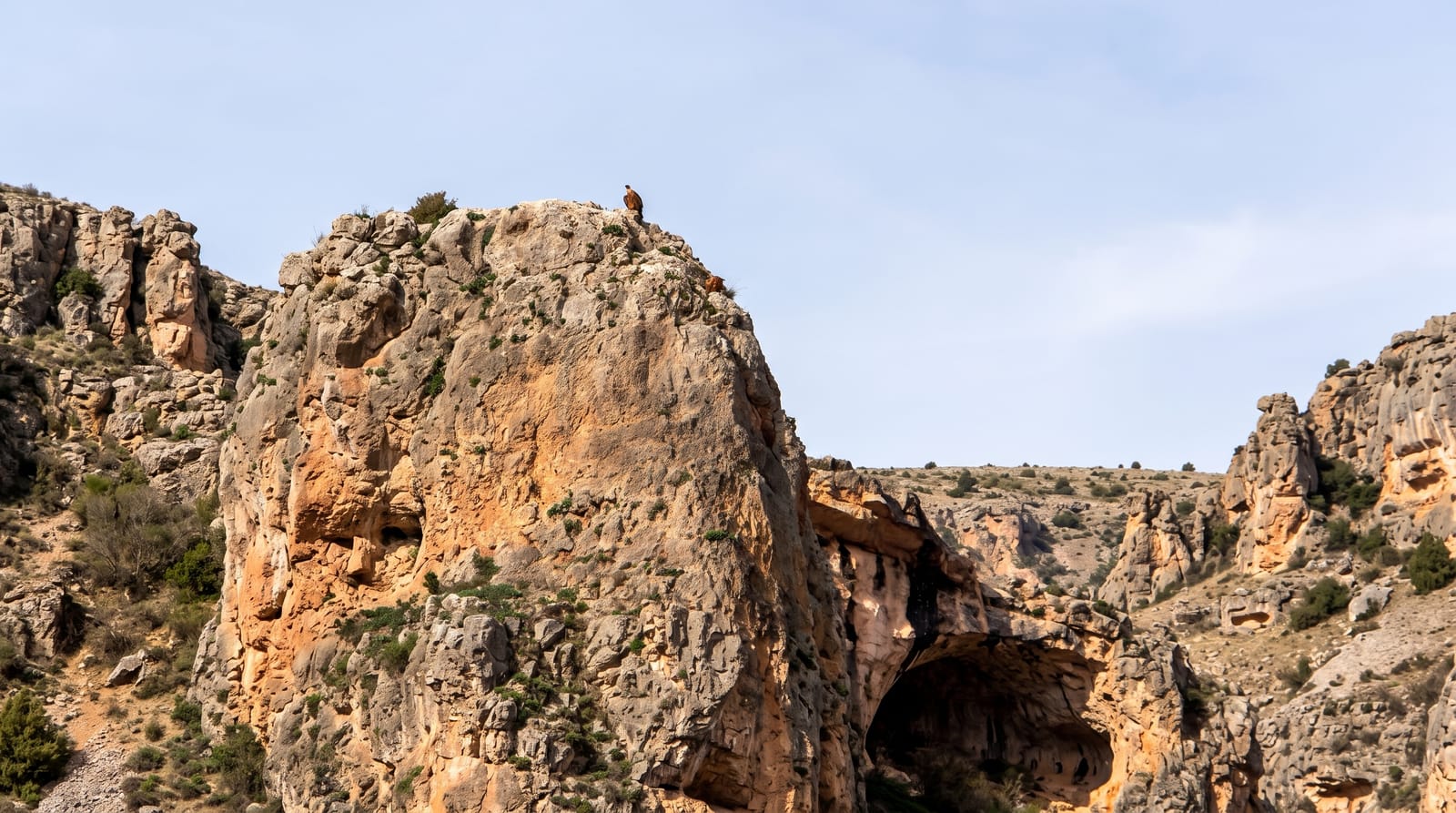 Hoces del Rio Riaza