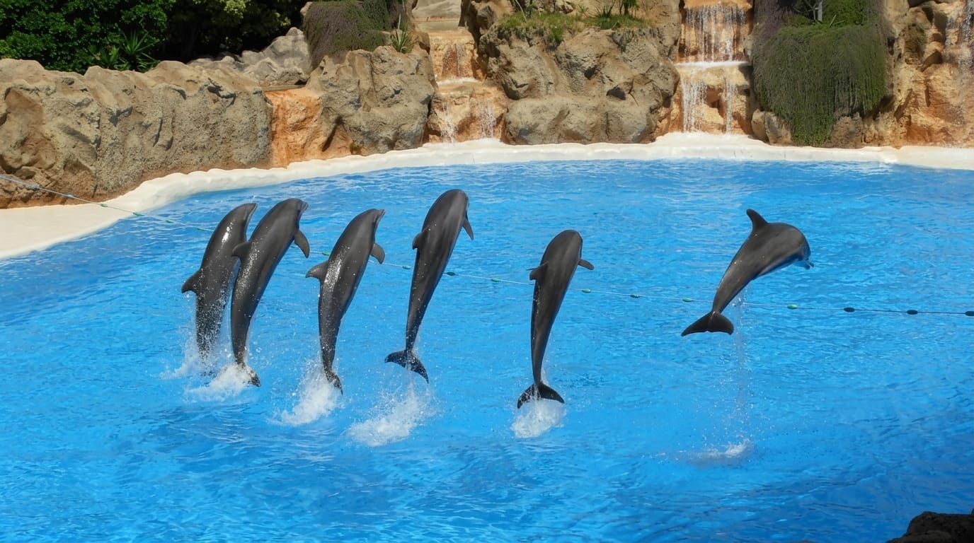 Loro Parque