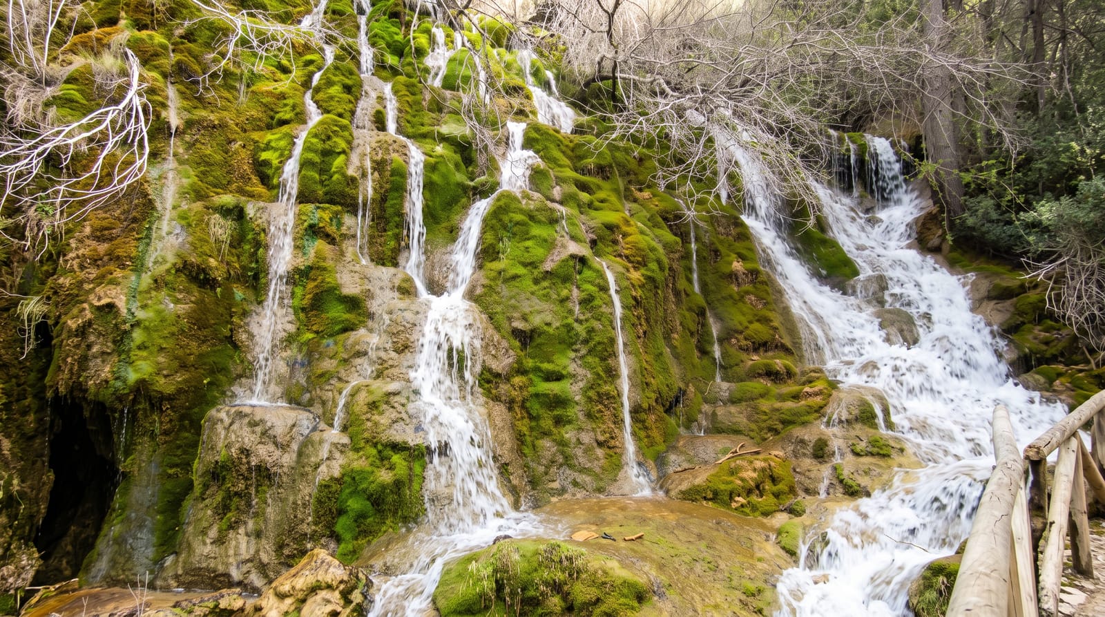 Nacimiento del Rio Cuervo