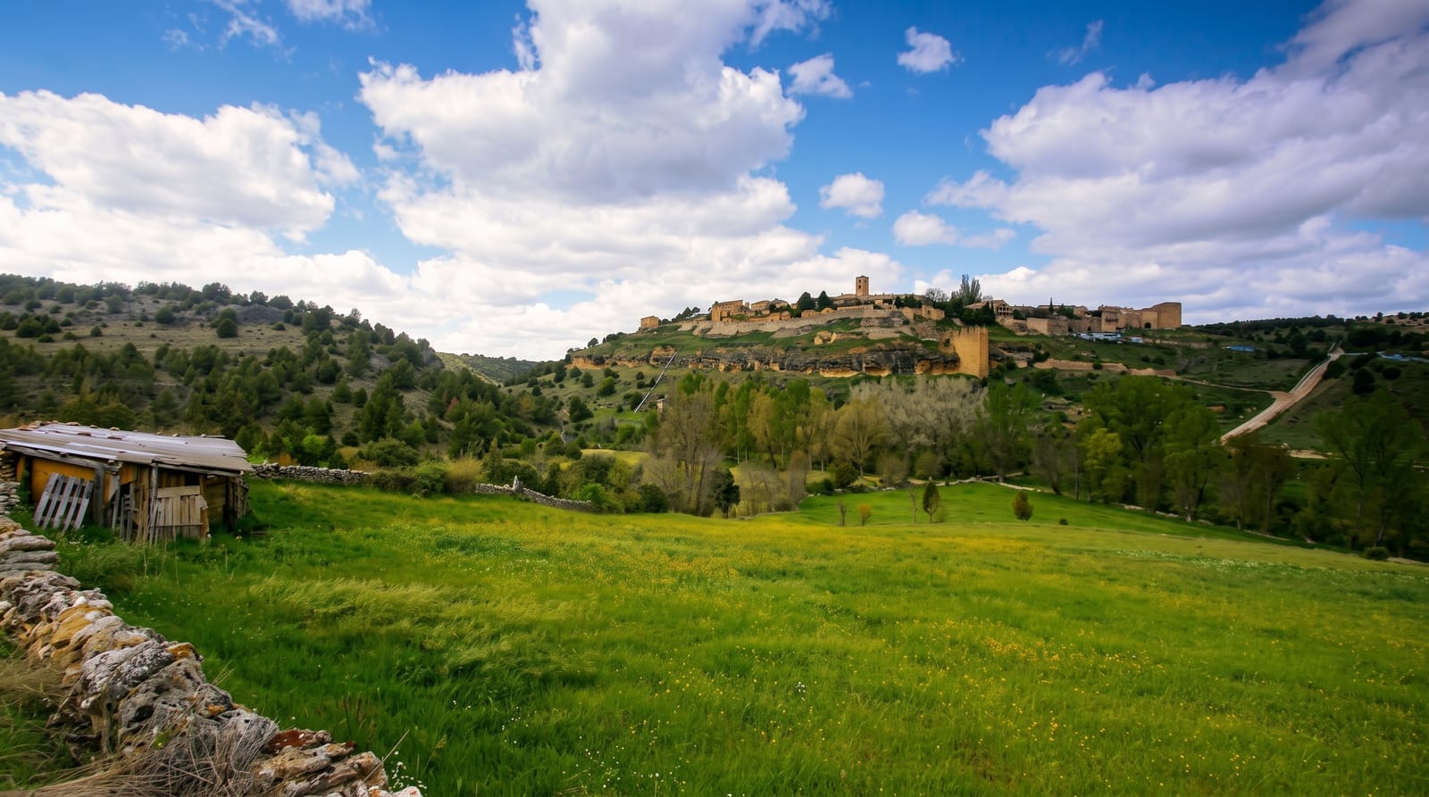 Pedraza