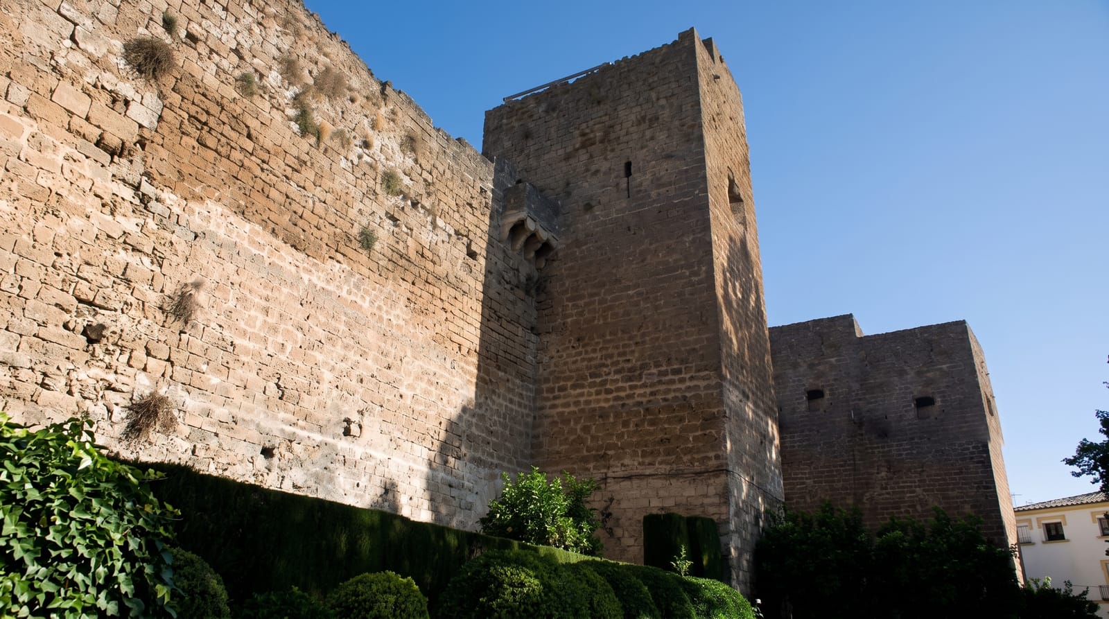 Priego de Cordoba