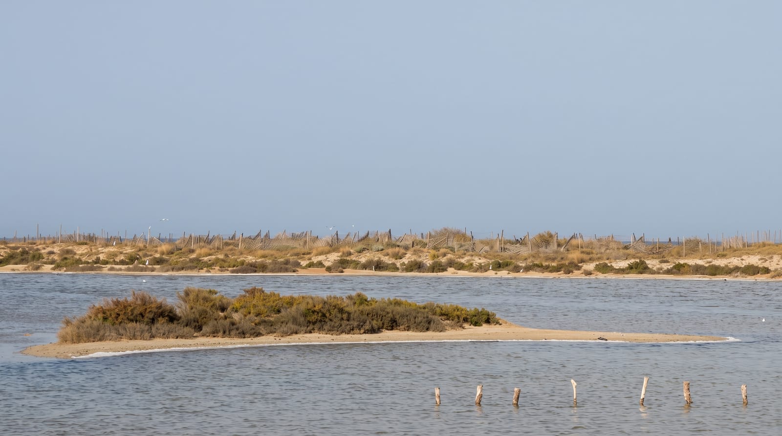 Salinas de San Pedro del Pinatar